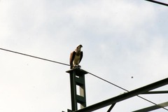 Killikus&reg; Fotographie